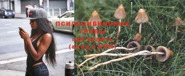 кокаин Верея