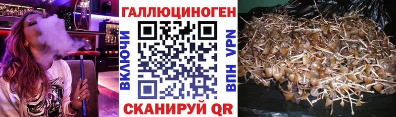 Псилоцибиновые грибы прущие грибы  закладка  Владимир 